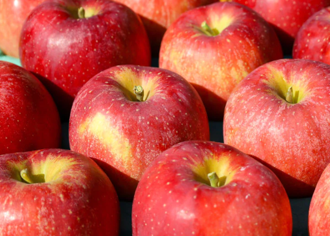 ９月収穫の早生品種】すわっこ【イチ押しのりんご】 - ブラベリー